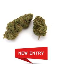 MARY CHEESE NUOVO RACCOLTO OTTOBRE 2025