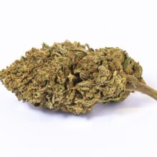 MARY LEMON TONIC – THC FREE