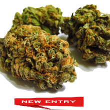 MARY TANGERINE NUOVO RACCOLTO OTTOBRE 2025