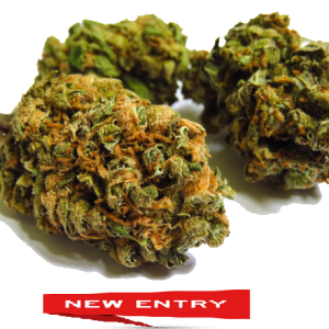 MARY TANGERINE NUOVO RACCOLTO OTTOBRE 2025