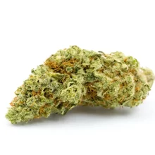 MARY AMNESIA NUOVO RACCOLTO OTTOBRE 2025